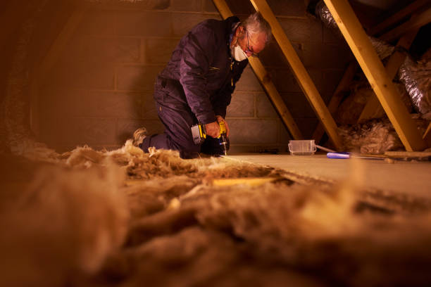 Insulation Repair Services in Brock Hall, MD